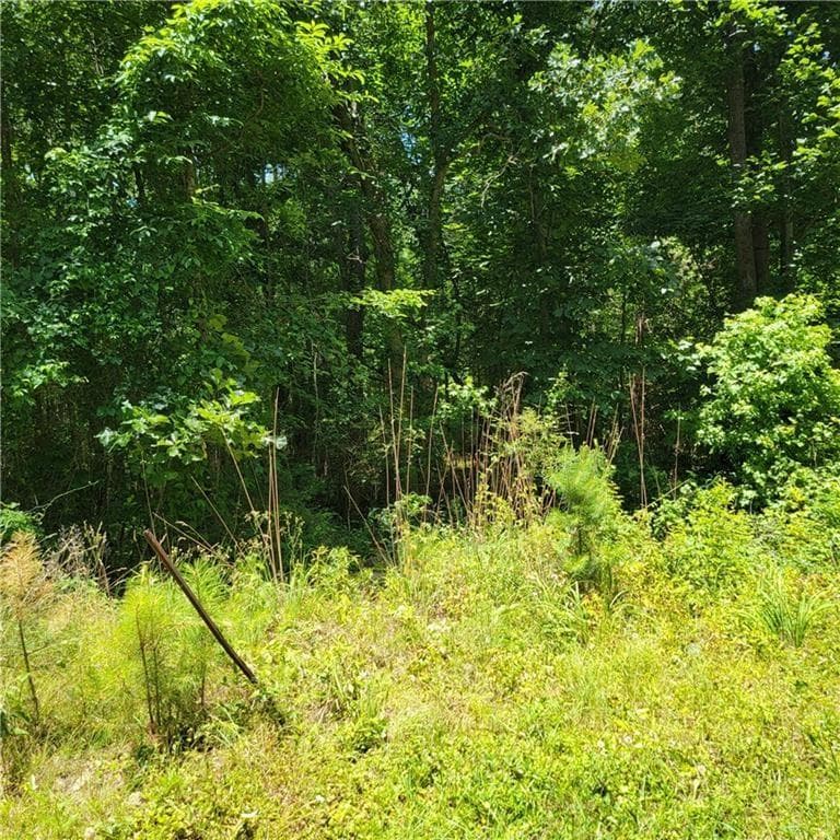 unimproved land for sale at 0 Spring Hill Drive, Covington, GA 30016 — photo 8