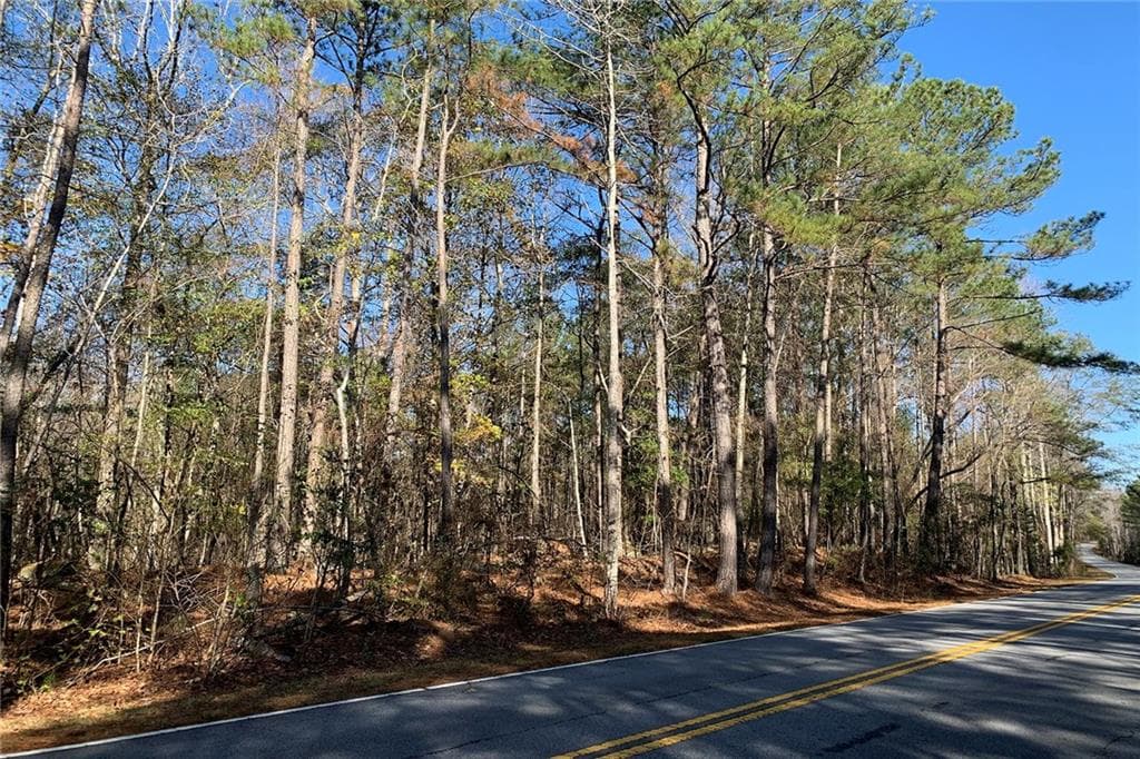 1,584 sq ft unimproved land for sale at 0 Campbellton Redwine Road, Chattahoochee Hills, GA 30268 — photo 3