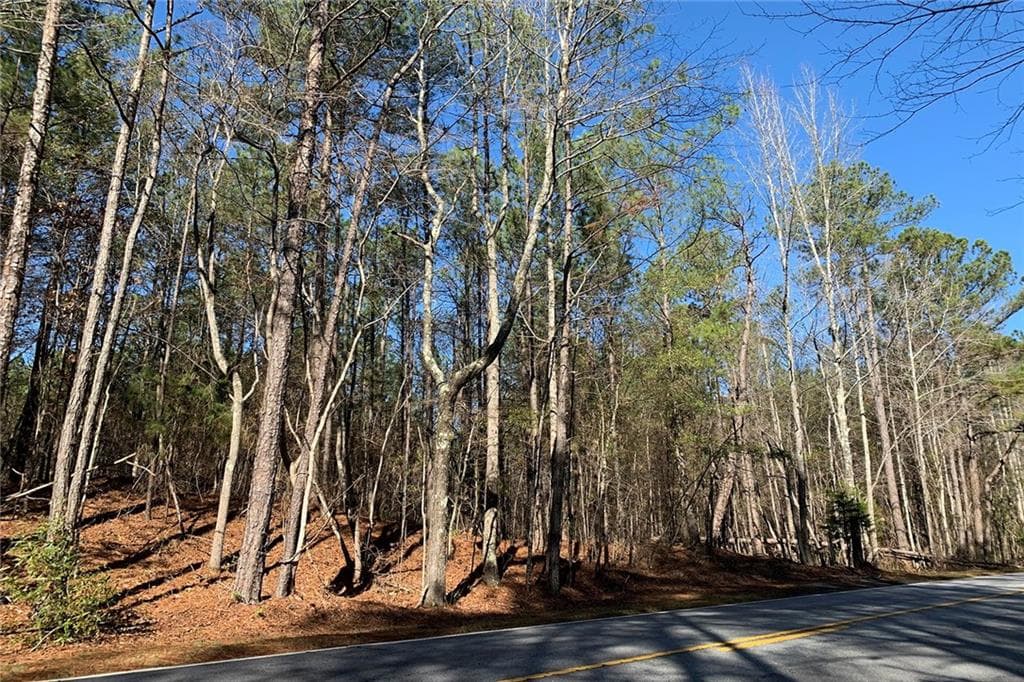 1,584 sq ft unimproved land for sale at 0 Campbellton Redwine Road, Chattahoochee Hills, GA 30268 — photo 4