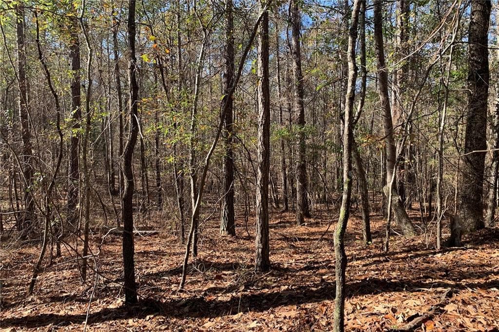 1,584 sq ft unimproved land for sale at 0 Campbellton Redwine Road, Chattahoochee Hills, GA 30268 — photo 5