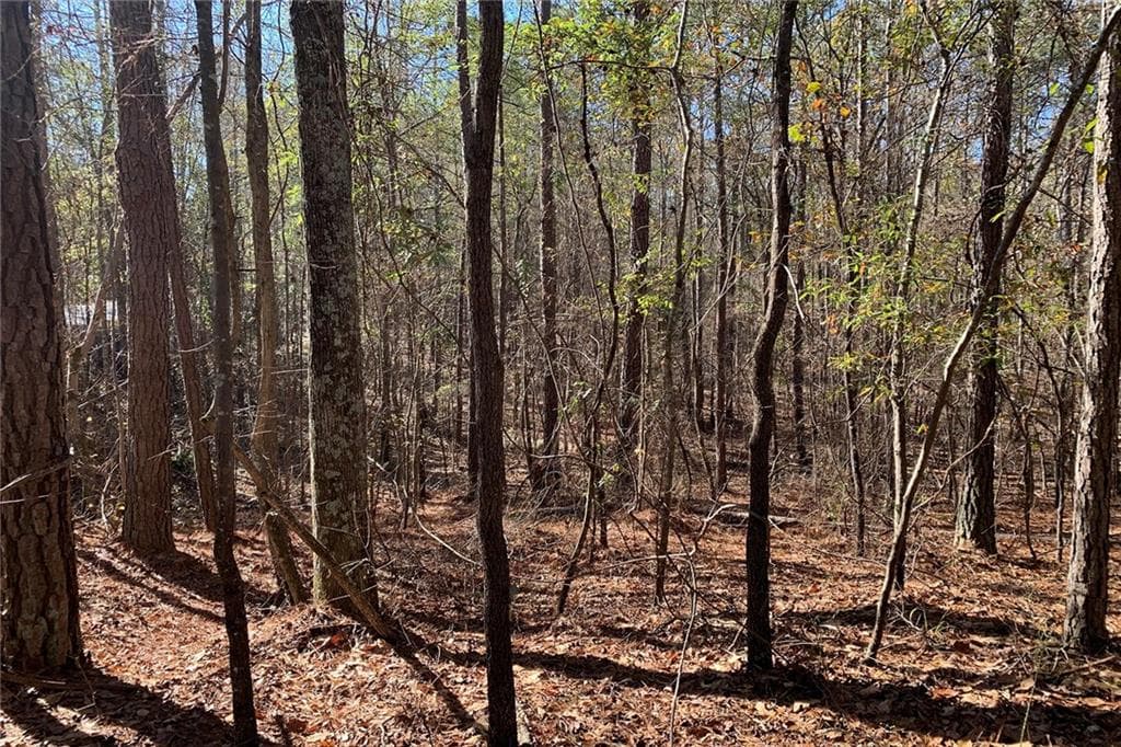 1,584 sq ft unimproved land for sale at 0 Campbellton Redwine Road, Chattahoochee Hills, GA 30268 — photo 6
