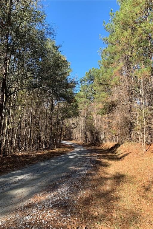 1,584 sq ft unimproved land for sale at 0 Campbellton Redwine Road, Chattahoochee Hills, GA 30268 — photo 7