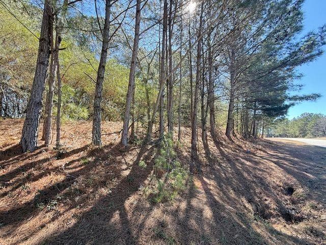 unimproved land for sale at 0 McDonough Parkway, Mcdonough, GA 30253 — photo 3