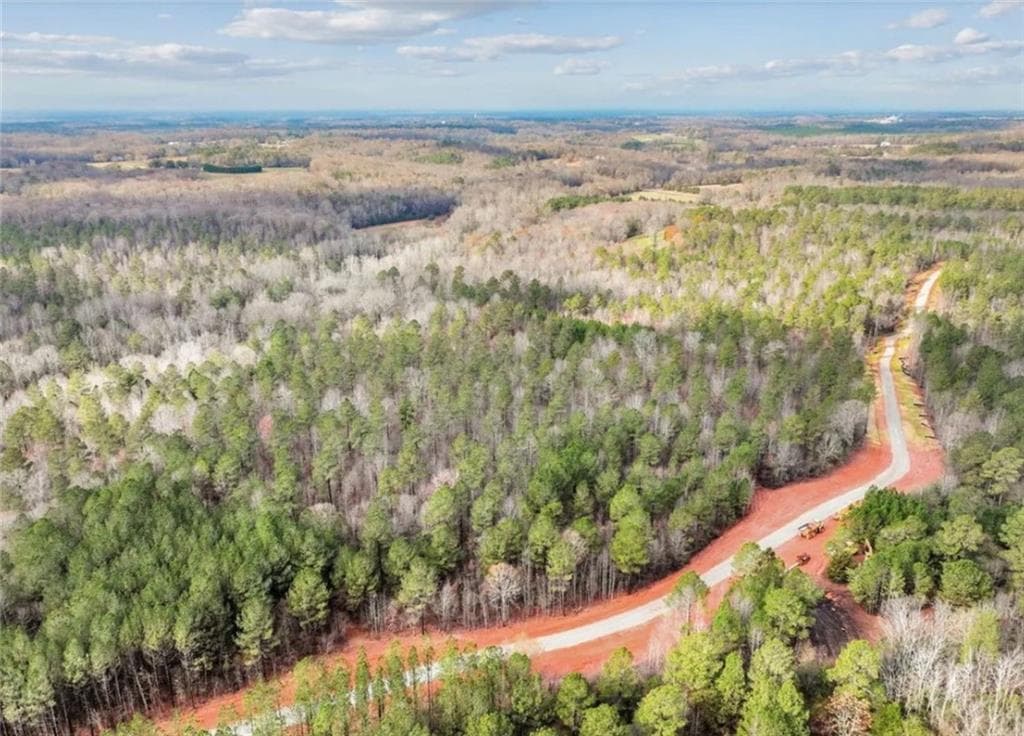 other for sale at 690 Harmony Gates Drive, Commerce, GA 30530 — photo 4