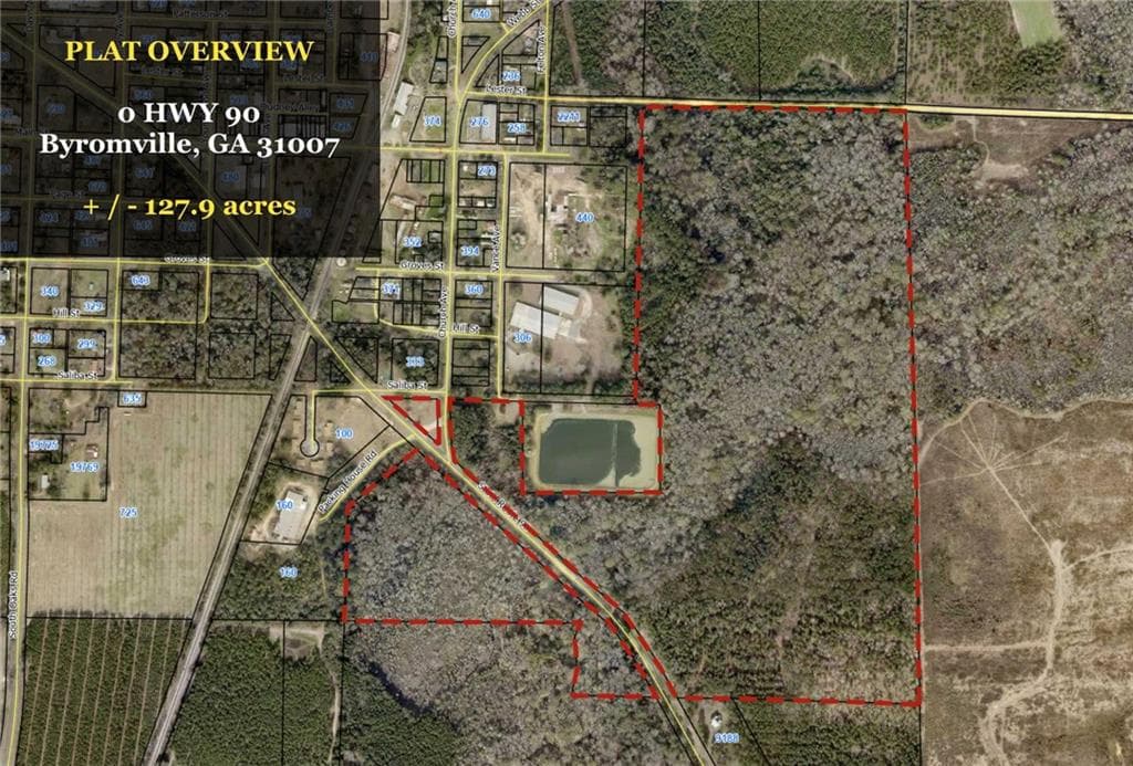 unimproved land for sale at 0 Highway 90, Byromville, GA 31007