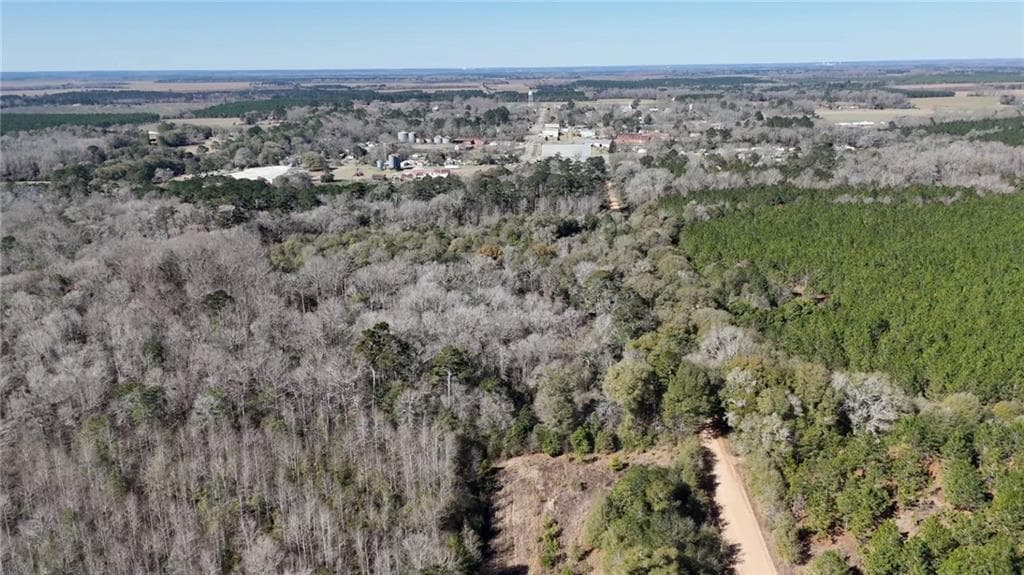 unimproved land for sale at 0 Highway 90, Byromville, GA 31007 — photo 2