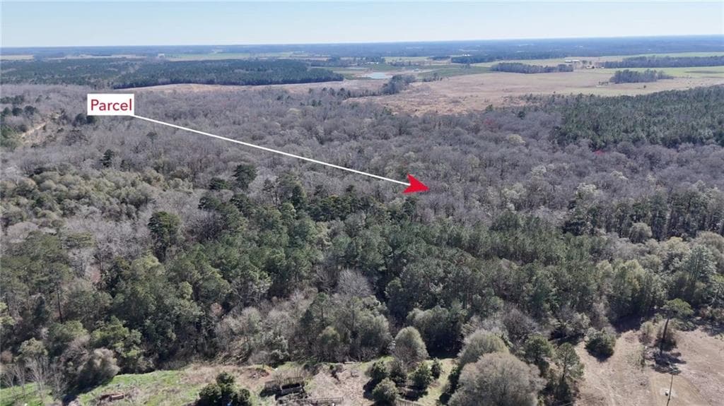 unimproved land for sale at 0 Highway 90, Byromville, GA 31007 — photo 3