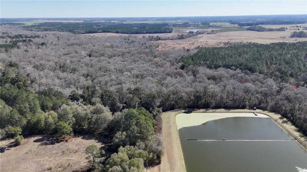 unimproved land for sale at 0 Highway 90, Byromville, GA 31007 — photo 4