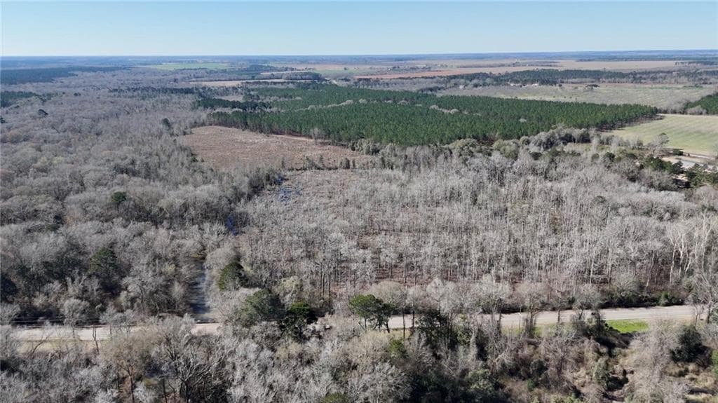 unimproved land for sale at 0 Highway 90, Byromville, GA 31007 — photo 5