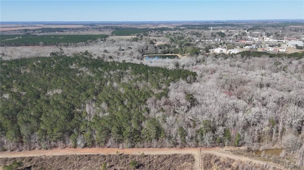unimproved land for sale at 0 Highway 90, Byromville, GA 31007 — photo 6