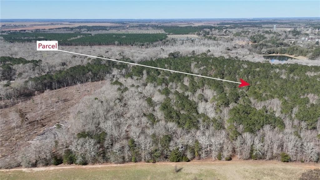 unimproved land for sale at 0 Highway 90, Byromville, GA 31007 — photo 8