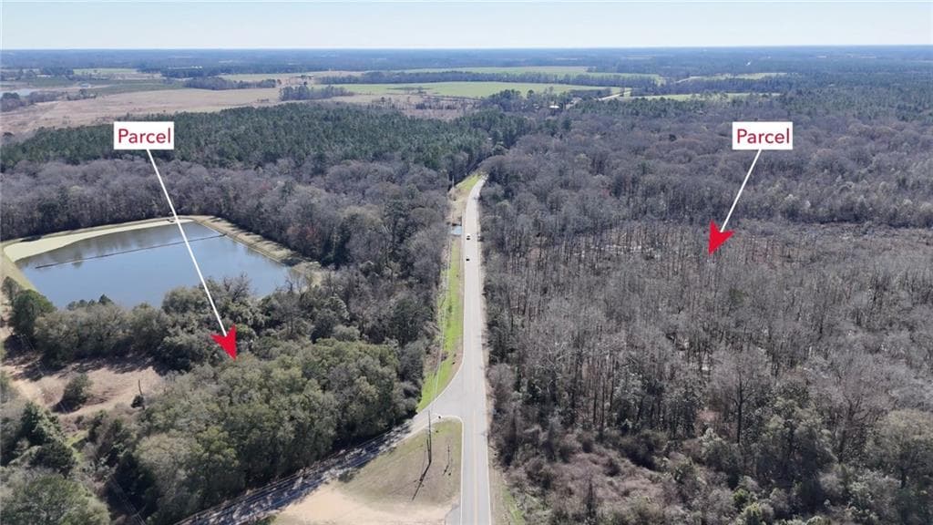 unimproved land for sale at 0 Highway 90, Byromville, GA 31007 — photo 9