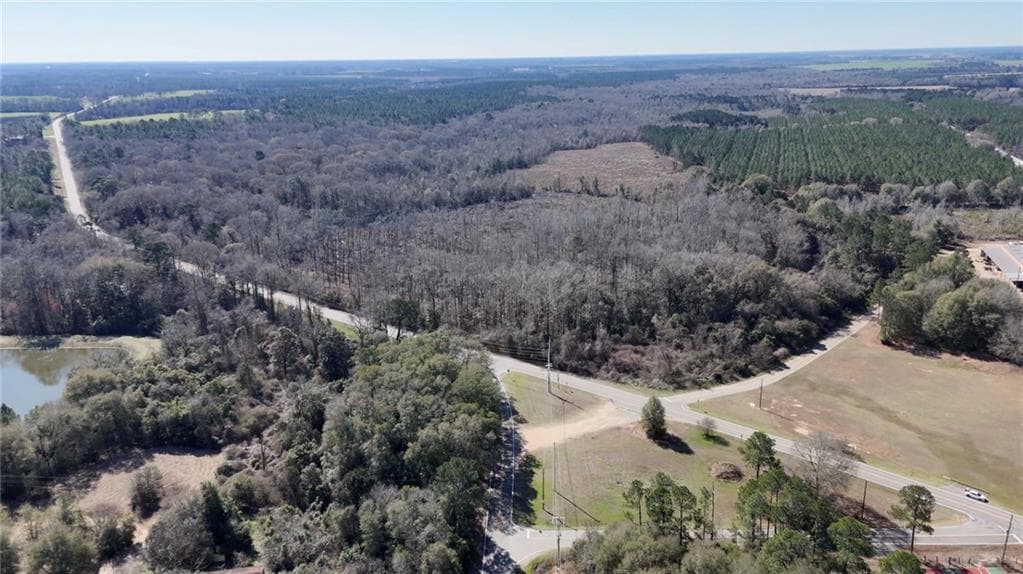 unimproved land for sale at 0 Highway 90, Byromville, GA 31007 — photo 10