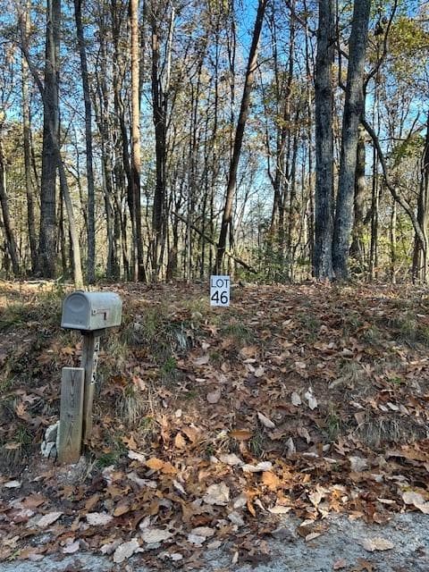 other for sale at 440 Ridge Road, Dawsonville, GA 30534 — photo 2