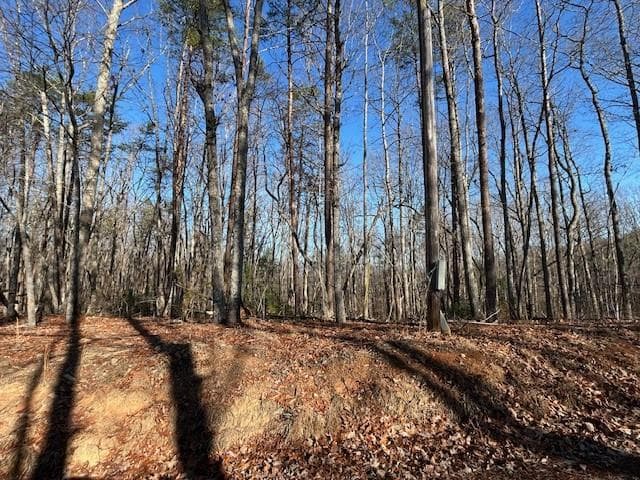 other for sale at 440 Ridge Road, Dawsonville, GA 30534 — photo 3