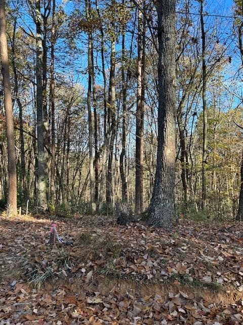 other for sale at 440 Ridge Road, Dawsonville, GA 30534 — photo 4