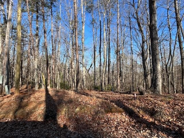 other for sale at 440 Ridge Road, Dawsonville, GA 30534 — photo 5