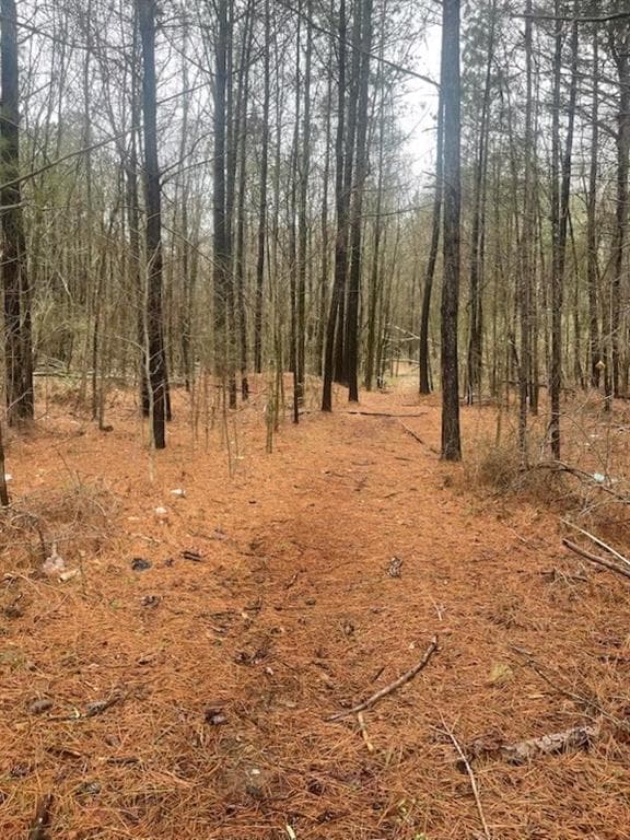 unimproved land for sale at 4000 Danielsville Road, Athens, GA 30601 — photo 2