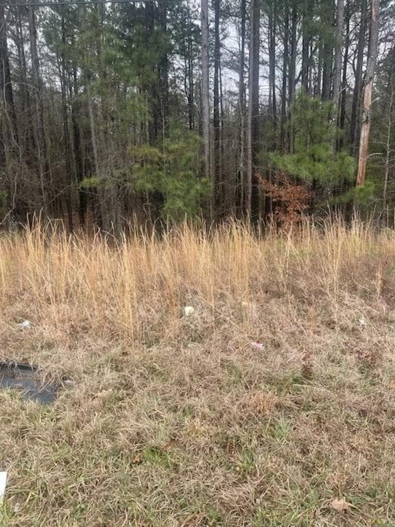unimproved land for sale at 4000 Danielsville Road, Athens, GA 30601 — photo 4