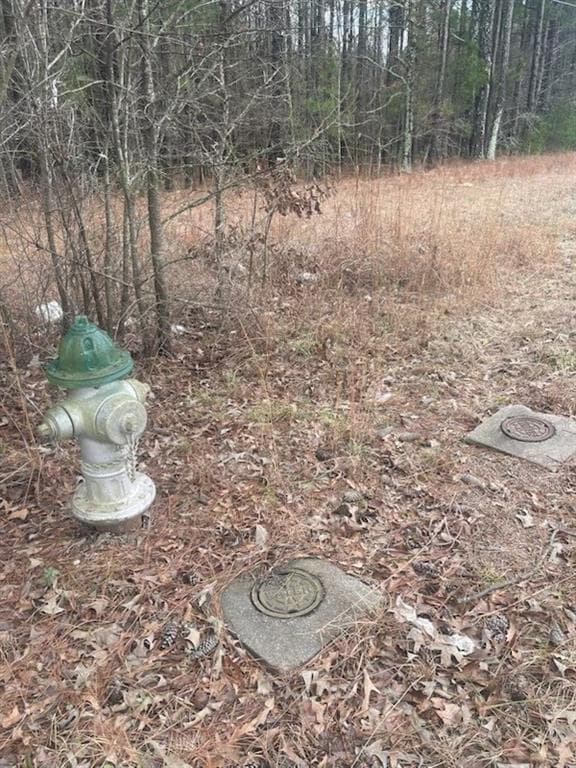 unimproved land for sale at 4000 Danielsville Road, Athens, GA 30601 — photo 5