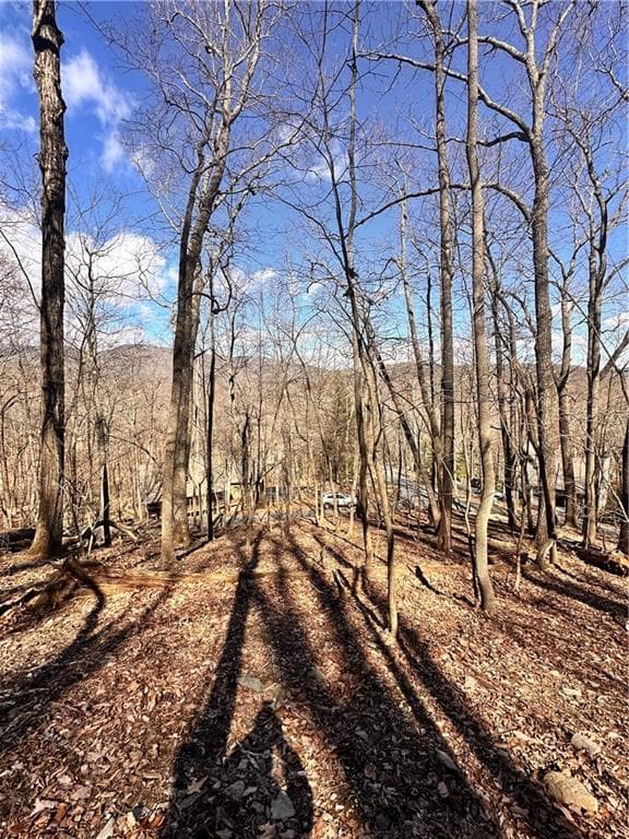 unimproved land for sale at 8041 Wilderness Parkway, Jasper, GA 30143 — photo 2