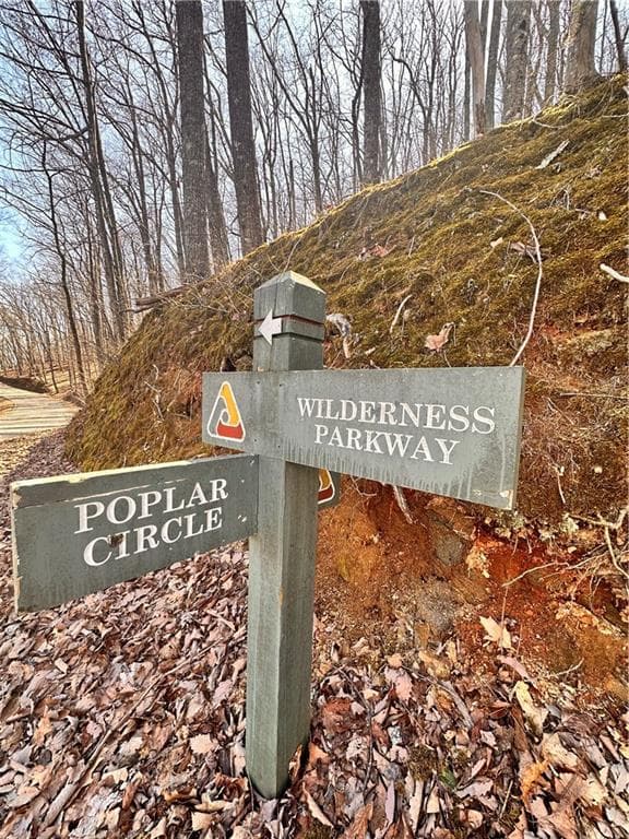 unimproved land for sale at 8041 Wilderness Parkway, Jasper, GA 30143 — photo 3