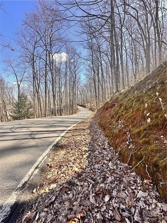 unimproved land for sale at 8041 Wilderness Parkway, Jasper, GA 30143 — photo 4