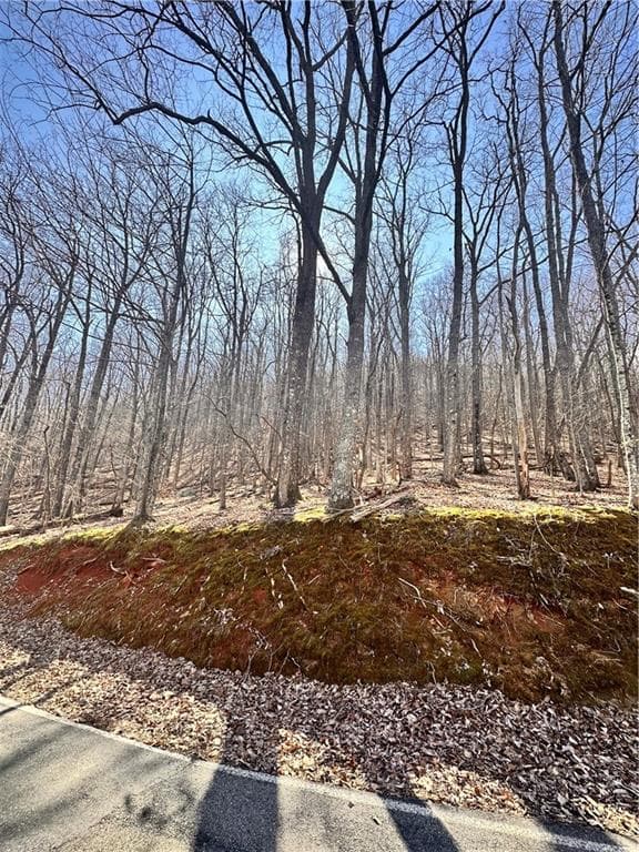 unimproved land for sale at 8041 Wilderness Parkway, Jasper, GA 30143 — photo 5