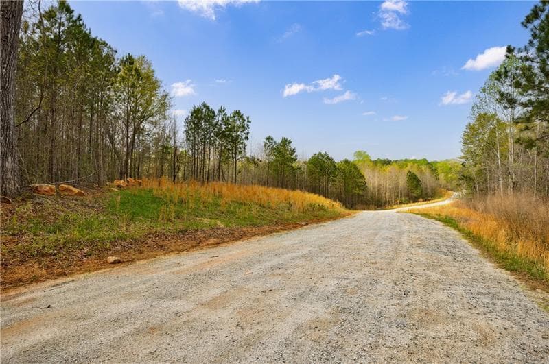 unimproved land for sale at 8385 Serenbe Road, Chattahoochee Hills, GA 30268 — photo 4