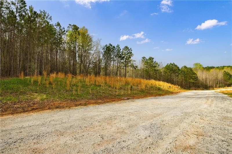 unimproved land for sale at 8385 Serenbe Road, Chattahoochee Hills, GA 30268 — photo 5