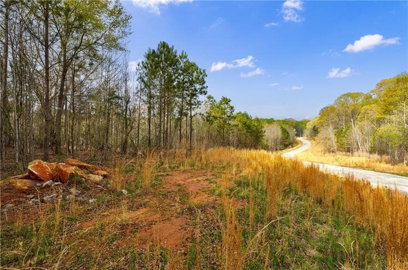 unimproved land for sale at 8385 Serenbe Road, Chattahoochee Hills, GA 30268 — photo 6