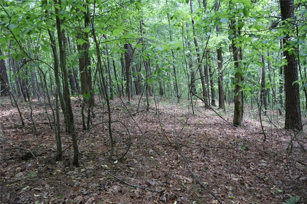 unimproved land for sale at 0 Parksbrook Road A, Ellijay, GA 30540 — photo 1 of 22