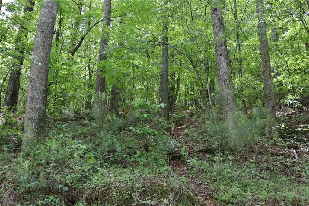 unimproved land for sale at 0 Parksbrook Road A, Ellijay, GA 30540 — photo 2