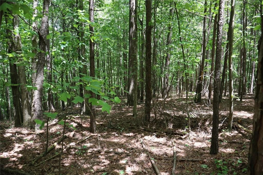 unimproved land for sale at 0 Parksbrook Road A, Ellijay, GA 30540 — photo 3