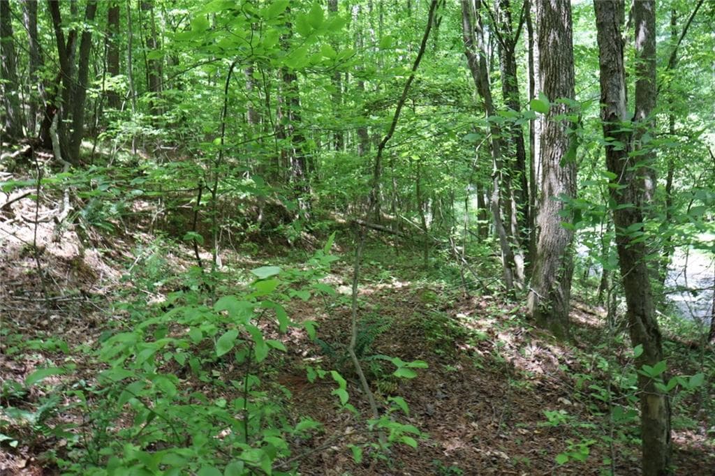 unimproved land for sale at 0 Parksbrook Road A, Ellijay, GA 30540 — photo 5