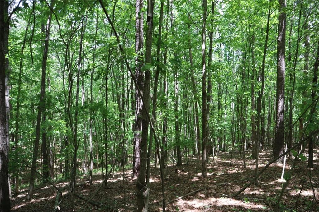 unimproved land for sale at 0 Parksbrook Road A, Ellijay, GA 30540 — photo 6
