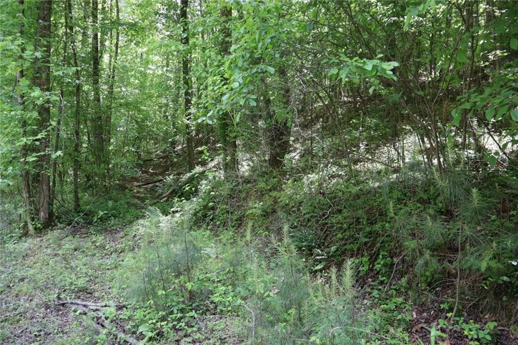 unimproved land for sale at 0 Parksbrook Road A, Ellijay, GA 30540 — photo 7