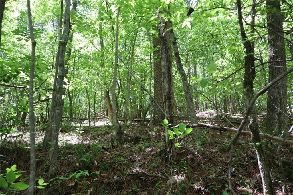 unimproved land for sale at 0 Parksbrook Road A, Ellijay, GA 30540 — photo 8