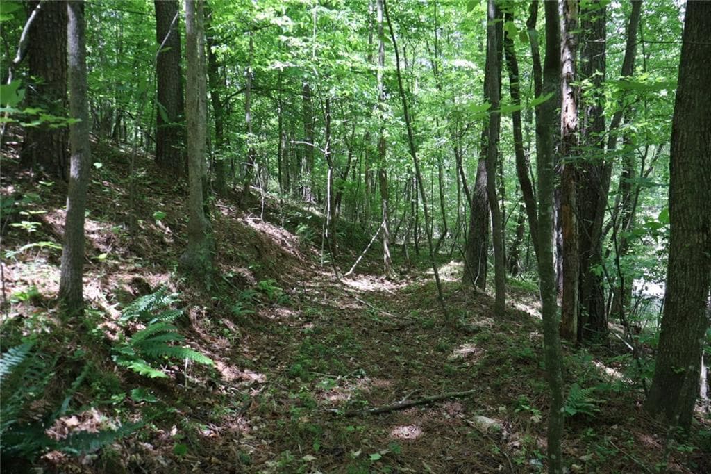 unimproved land for sale at 0 Parksbrook Road A, Ellijay, GA 30540 — photo 9
