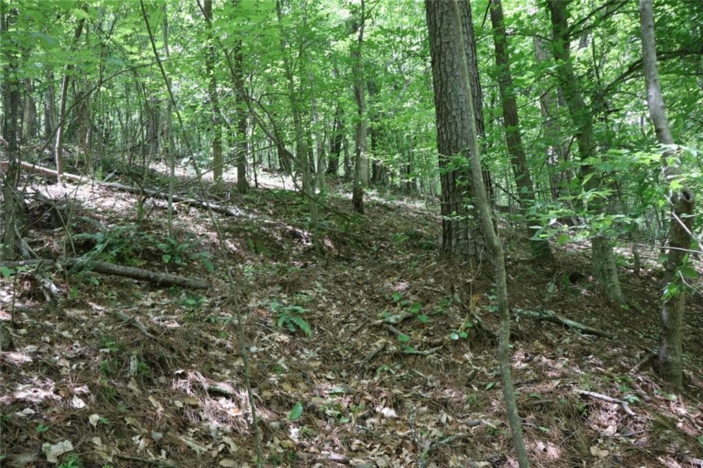 unimproved land for sale at 0 Parksbrook Road A, Ellijay, GA 30540 — photo 10
