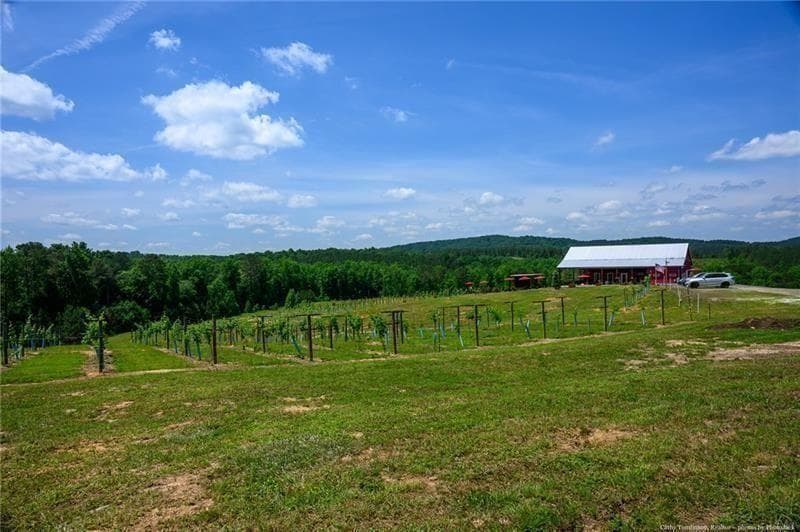 3 bathroom, 3,033 sq ft single family residence for sale at 119 Inland Drive, Talking Rock, GA 30175 — photo 9