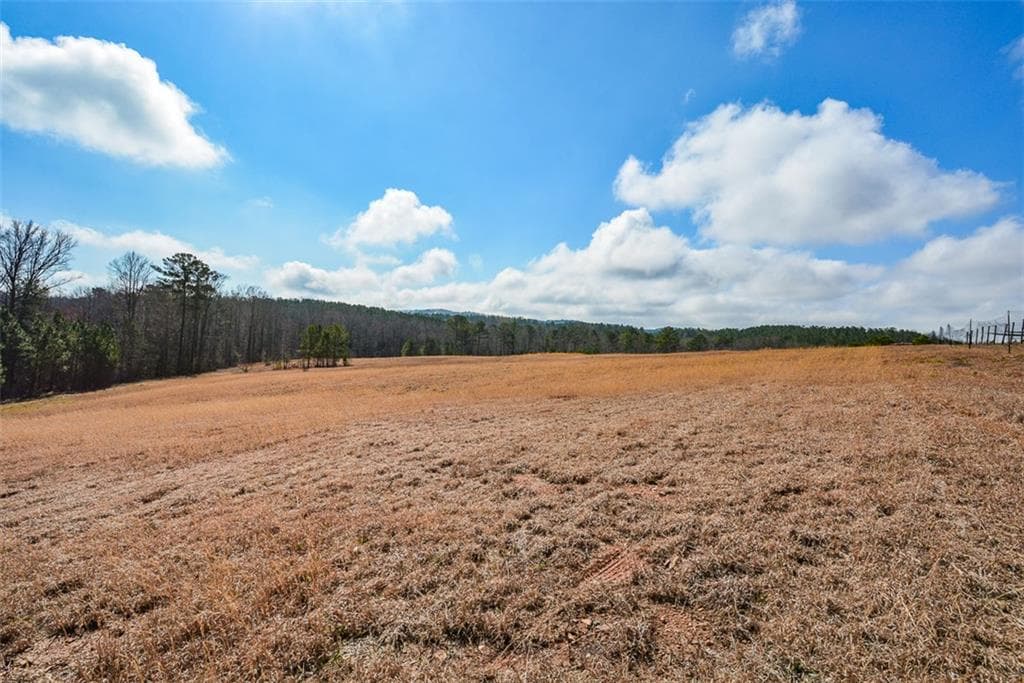 3 bathroom single family residence for sale at 119 Inland 4 acres Drive, Talking Rock, GA 30175 — photo 10