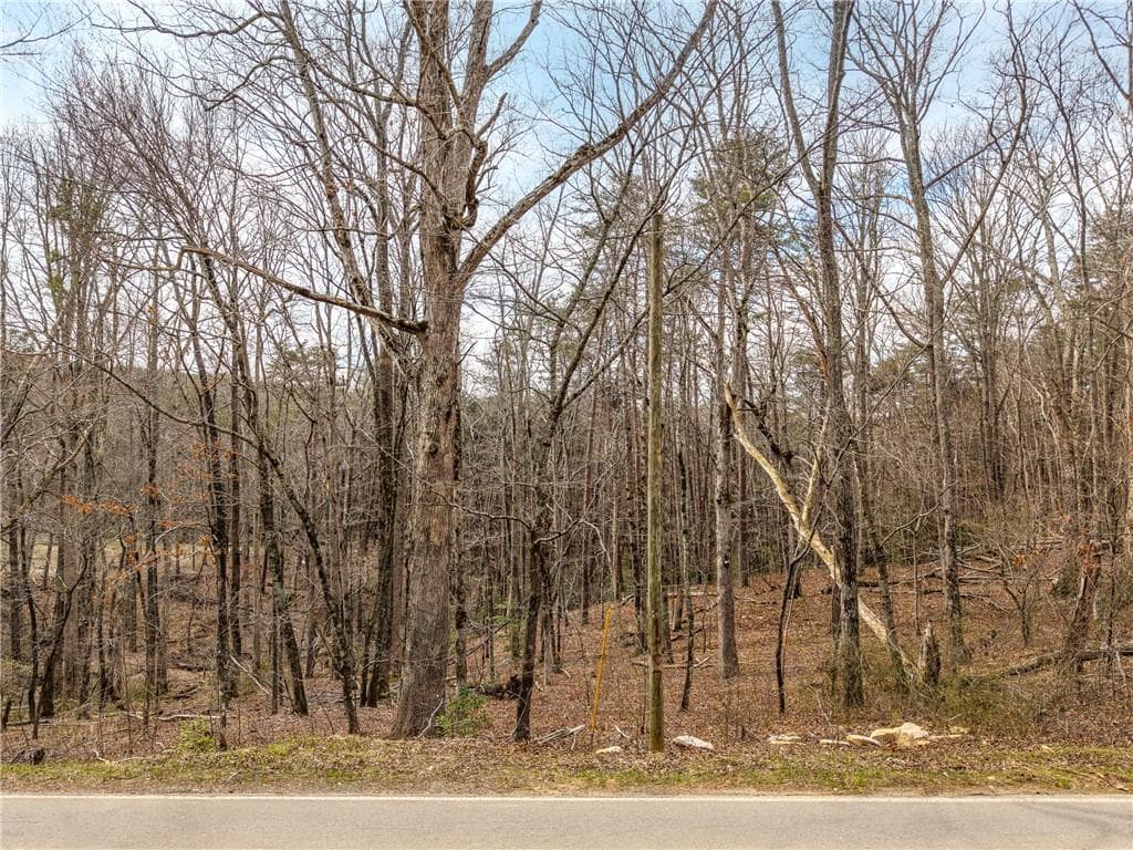 single family residence under contract at LT 167 Henderson Mountain Road, Jasper, GA 30143 — photo 3