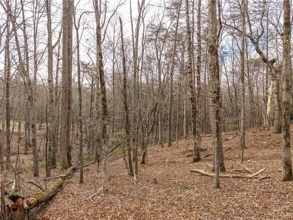 single family residence under contract at LT 167 Henderson Mountain Road, Jasper, GA 30143 — photo 4