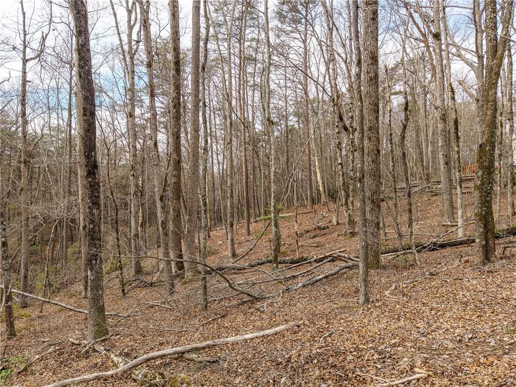 single family residence under contract at LT 167 Henderson Mountain Road, Jasper, GA 30143 — photo 5