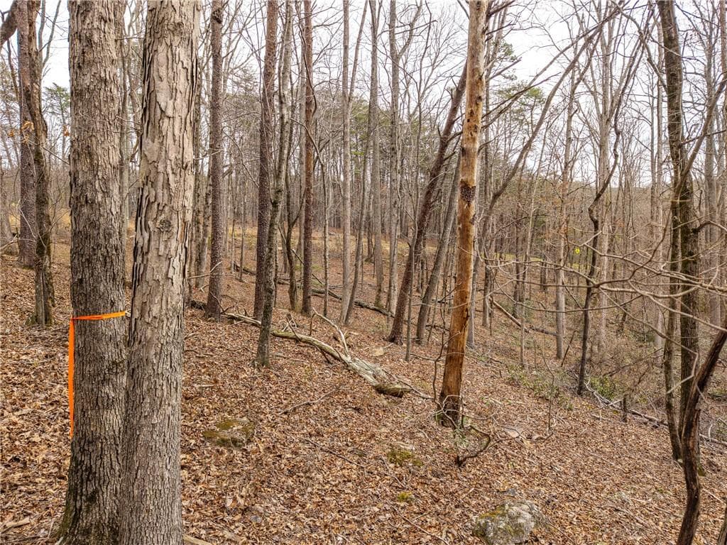 single family residence under contract at LT 167 Henderson Mountain Road, Jasper, GA 30143 — photo 6