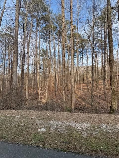 other for sale at 00 Cascade Palmetto Highway, Fairburn, GA 30213