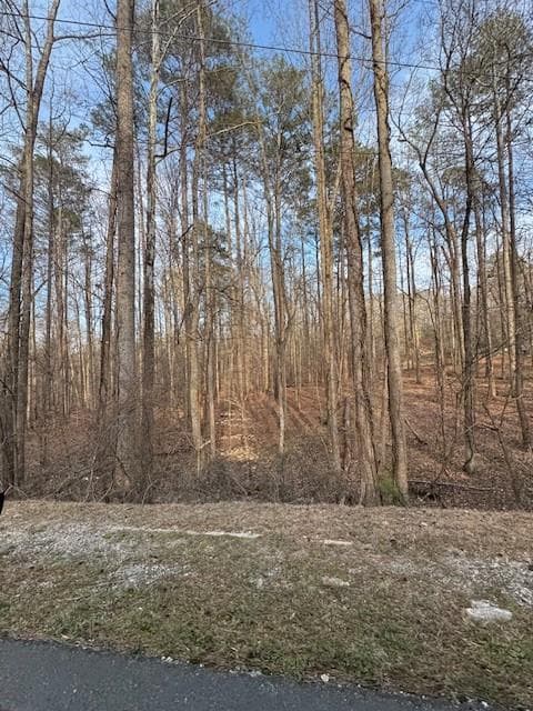 other for sale at 00 Cascade Palmetto Highway, Fairburn, GA 30213 — photo 2