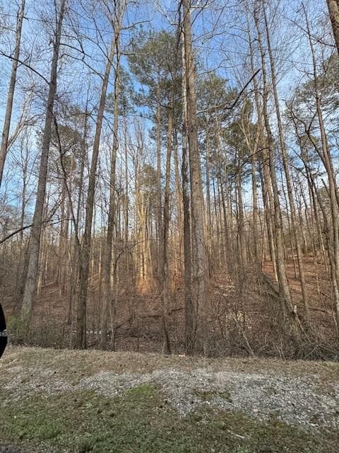 other for sale at 00 Cascade Palmetto Highway, Fairburn, GA 30213 — photo 3