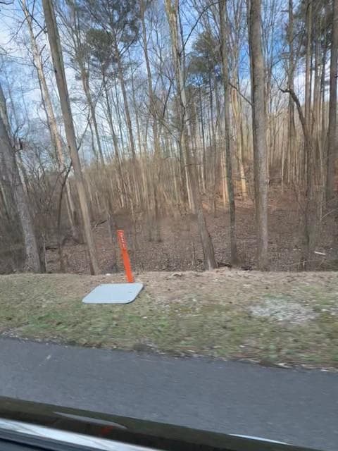 other for sale at 00 Cascade Palmetto Highway, Fairburn, GA 30213 — photo 4